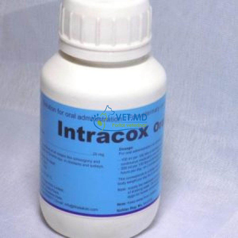 Intracox 60 ml